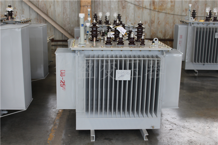 吴忠S20-800kVA/10kV/0.4kV变压器